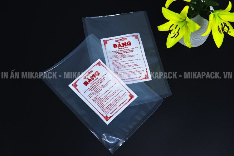 Túi hút chân không có thành phần nhựa polyamide đặc trưng.
