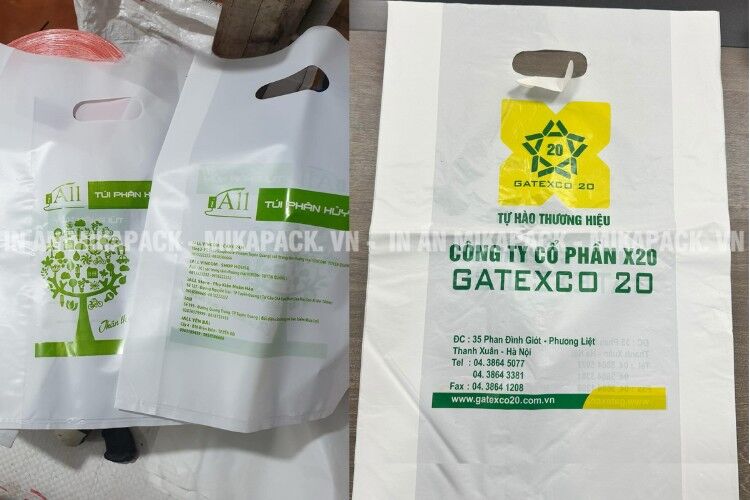 Mẫu túi nilon tự huỷ túi hột xoài in đẹp.