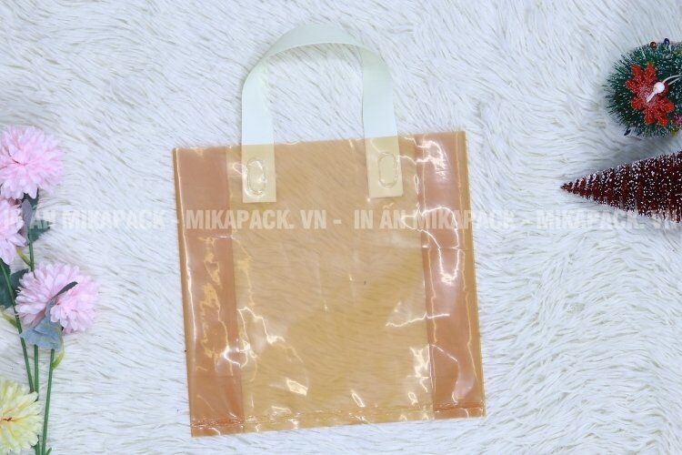 Túi ép quai vuông màu trong lịch sự.