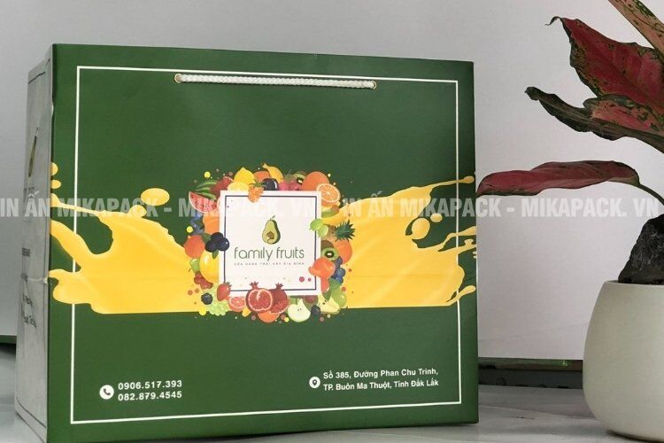 Mẫu túi đựng hoa quả đẹp, thiết kế độc đáo.