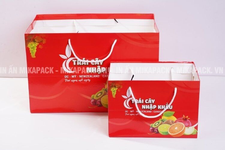 Túi giấy đựng hoa quả nhập khẩu làm túi quà biếu dịp lễ tết lịch sự.